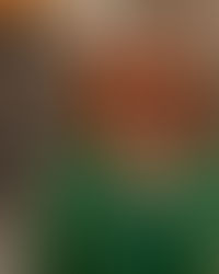 Av Marit Aure, professor i samfunnsvitenskap, UiT Norges arktiske universitet