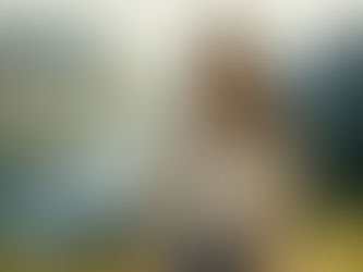 Illustrasjon av deltakerperspektiv: