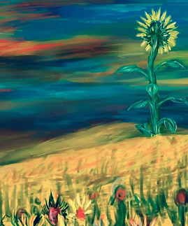 7C65CE67-106F-4E58-BB48-9D297472742F_edited.jpg