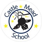 Castle Mead School