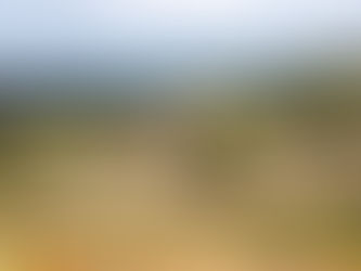 “Seeds Grow” : la création prend racine en Toscane