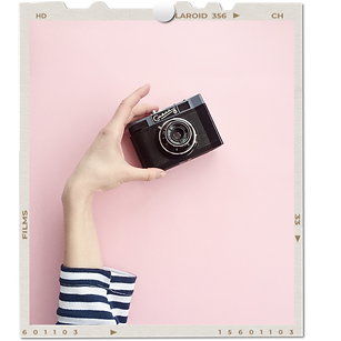 Interiors and plants moodboard Instagram Post (7).png