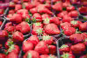 Seasonal produce