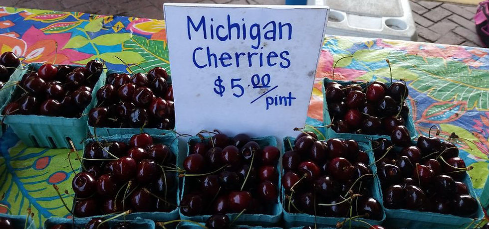 Michigan Cherries