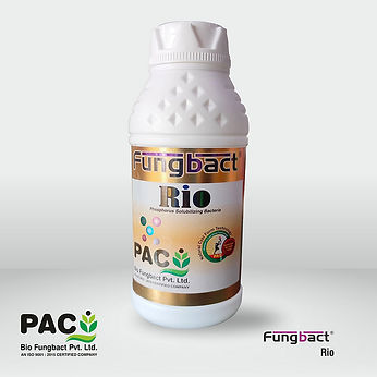 Fungbact Rio