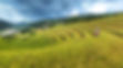 PAC-fungbact-banner.jpg