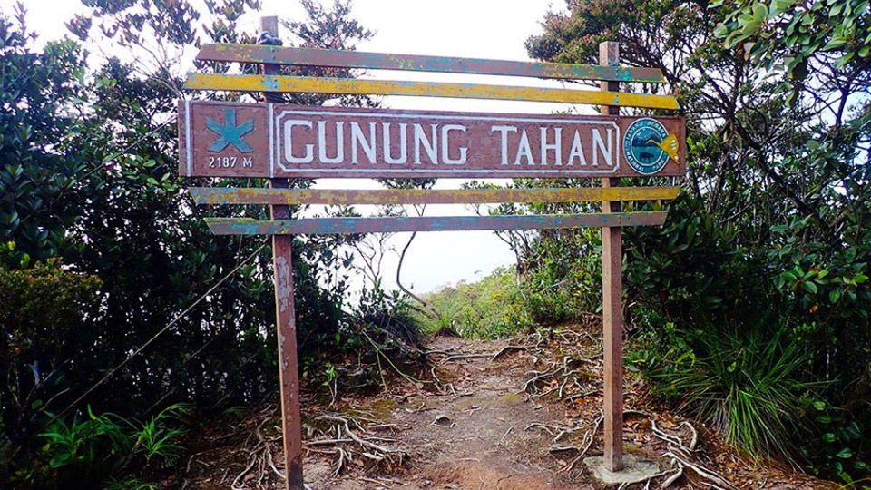 Gunung Tahan, Taman Negara National Park, Malaysia