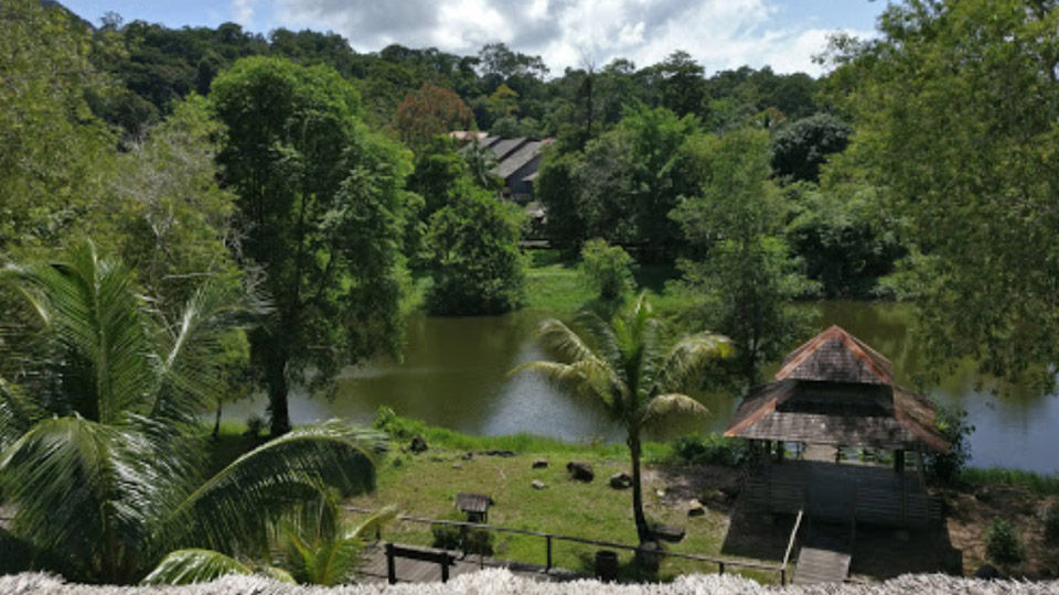 Sarawak Rainforest