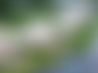 Small Modern House Stylish Living in Compact Spaces