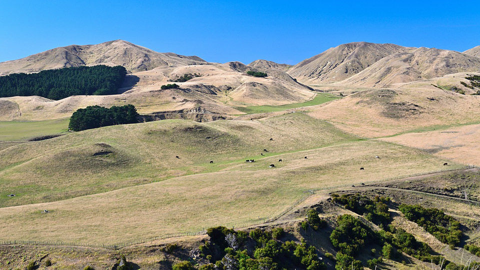 Cape Kidnappers