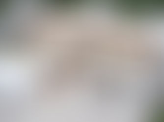 2 Story Micro House, Compact Living with Big Possibilities