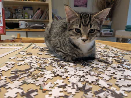 Fundraising podcasts worth listening to...