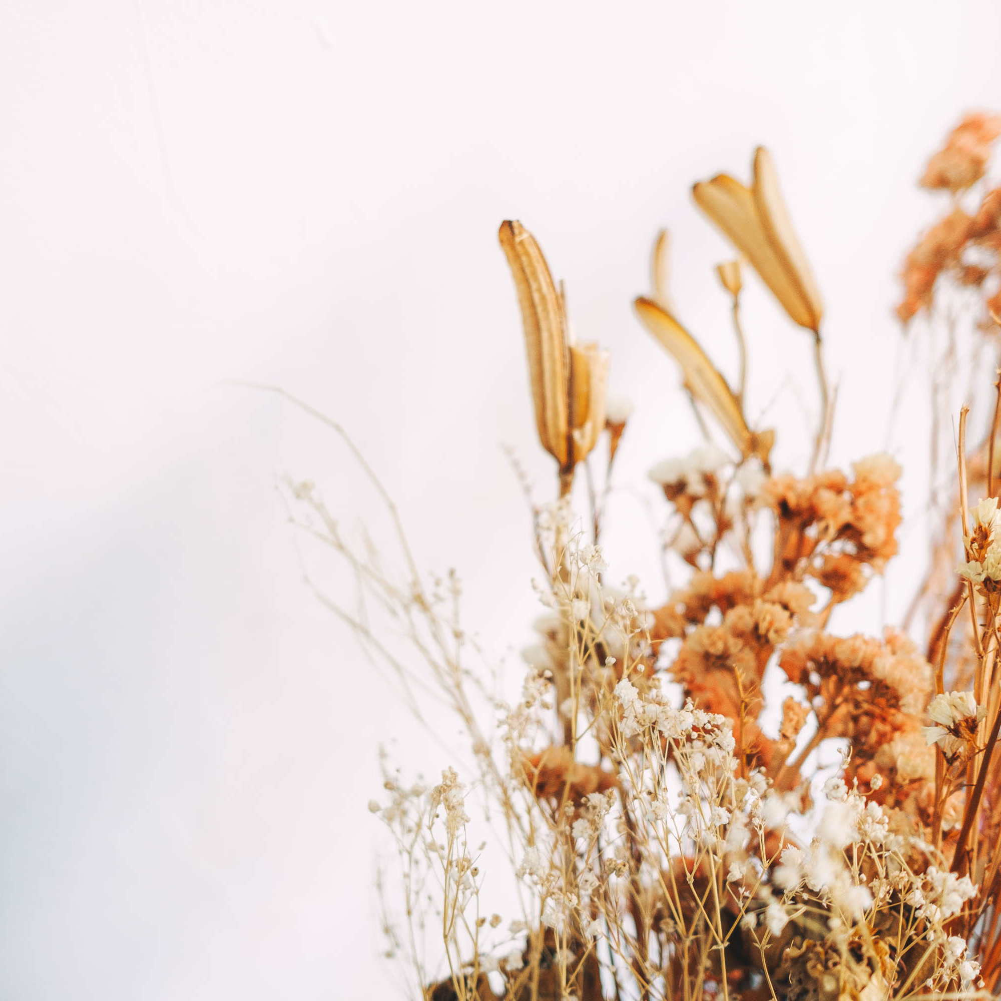 執筆者の写真: 薄暑なつ