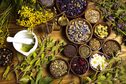 Ervas medicinais