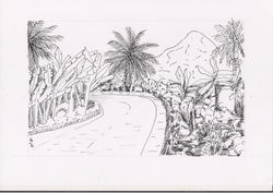 dessin-mayotte-1 - copie
