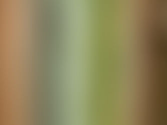 What are the Best Attic Insulation Materials?