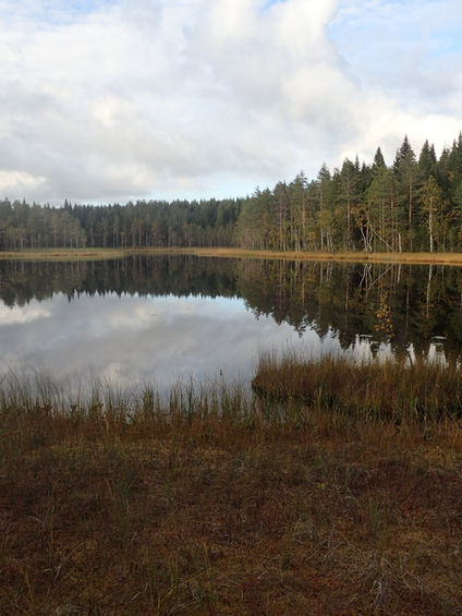 Syksyinen metsälampi Herajärven kierroksella