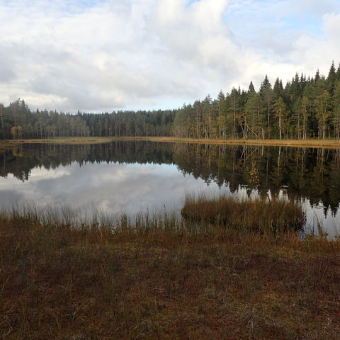 Syksyinen metsälampi Herajärven kierroksella