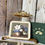 Miniature : Dessous de verre vintage Jason – Bouquet de magnolias & hortensias (set de 6)