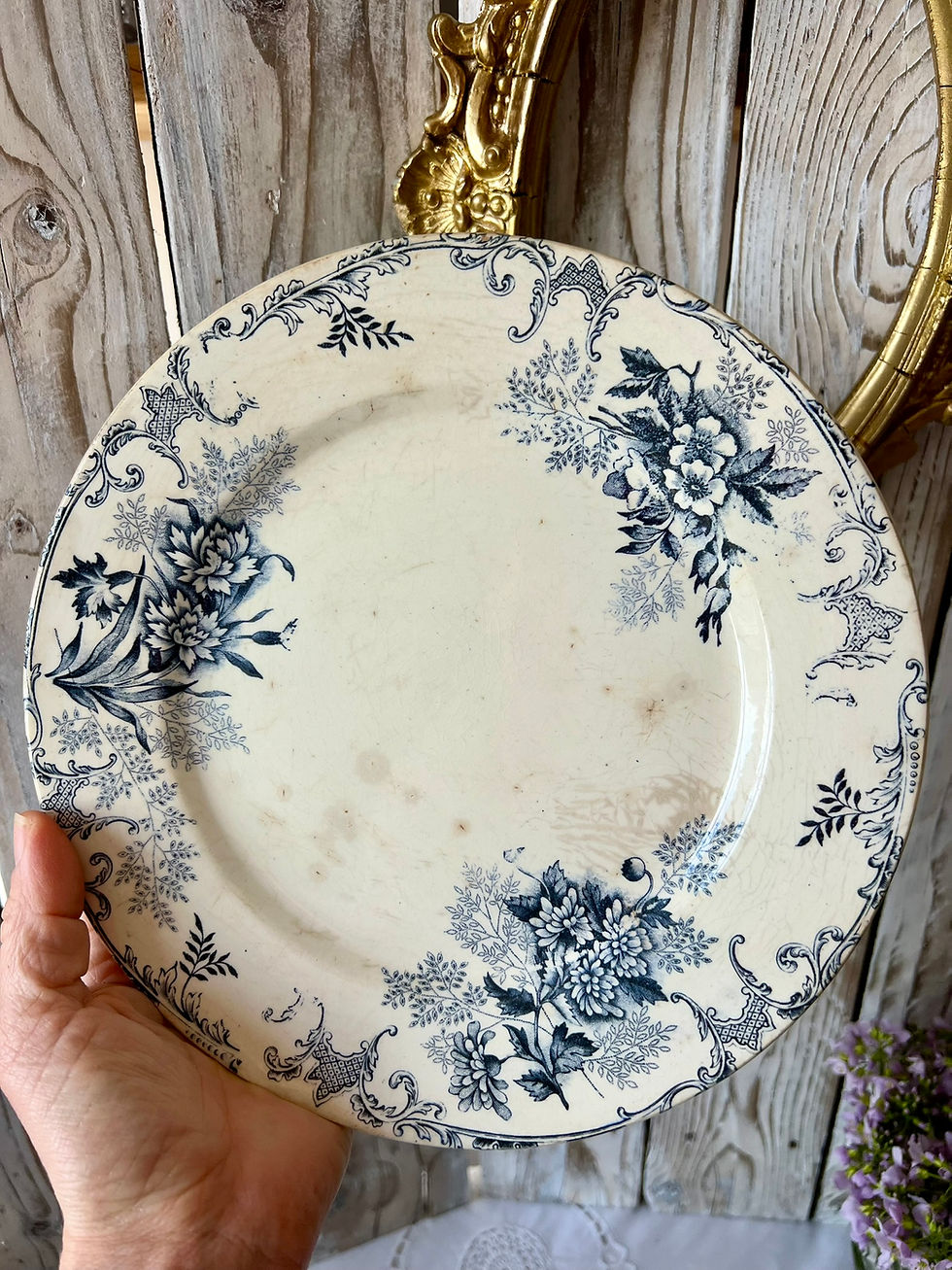 Assiette ancienne en Terre de fer, époque 1880-1910, France.