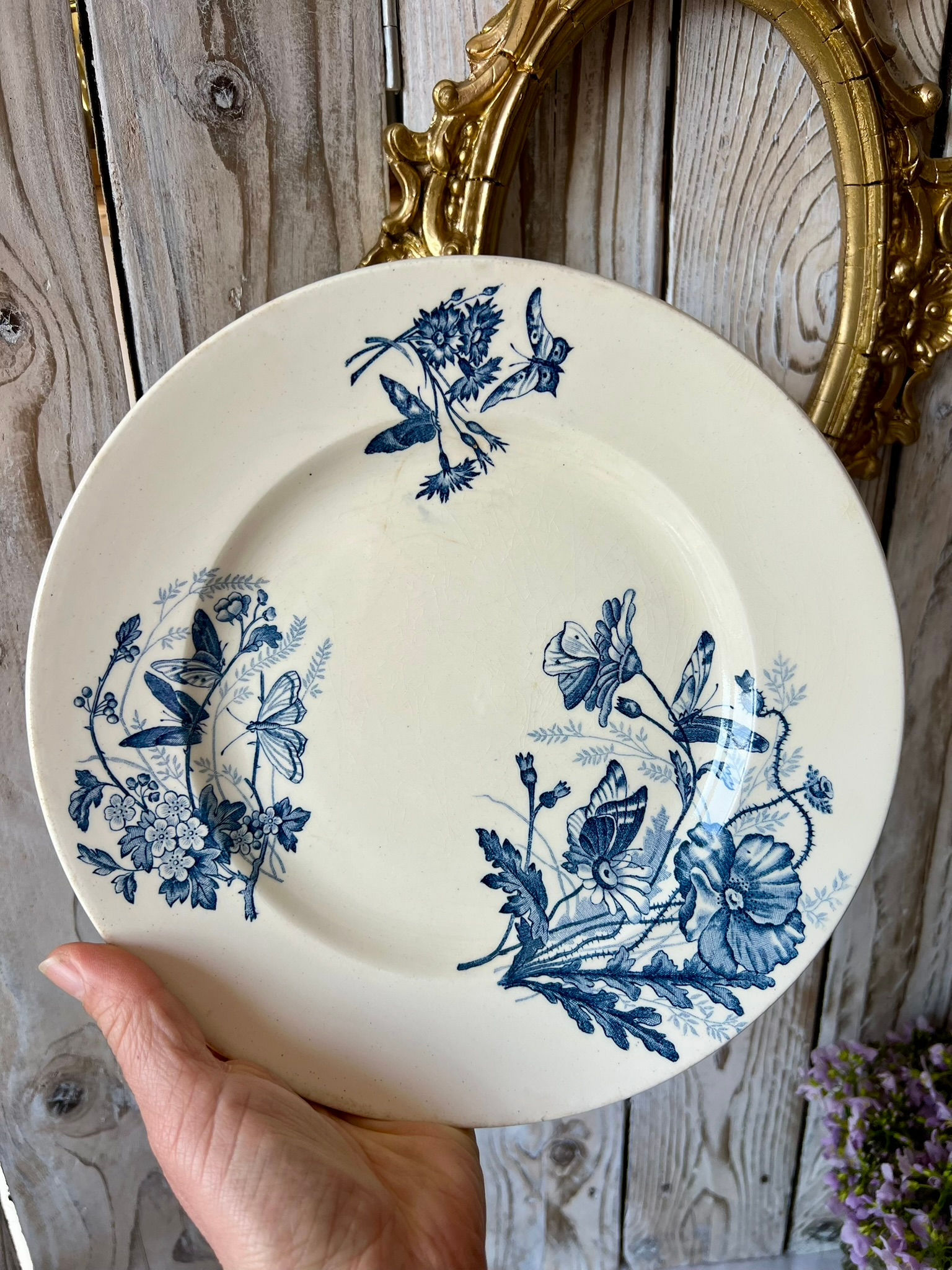 Assiette ancienne en Terre de fer modèle Papillons, faïencerie P&R, France.