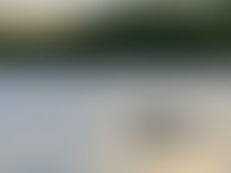 Coexisting with Crocodilians