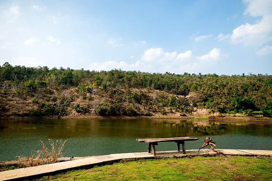 Lakeside Bench
