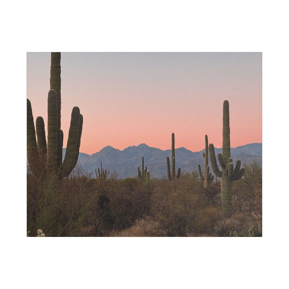 Thumbnail: Satin Canvas, Stretched