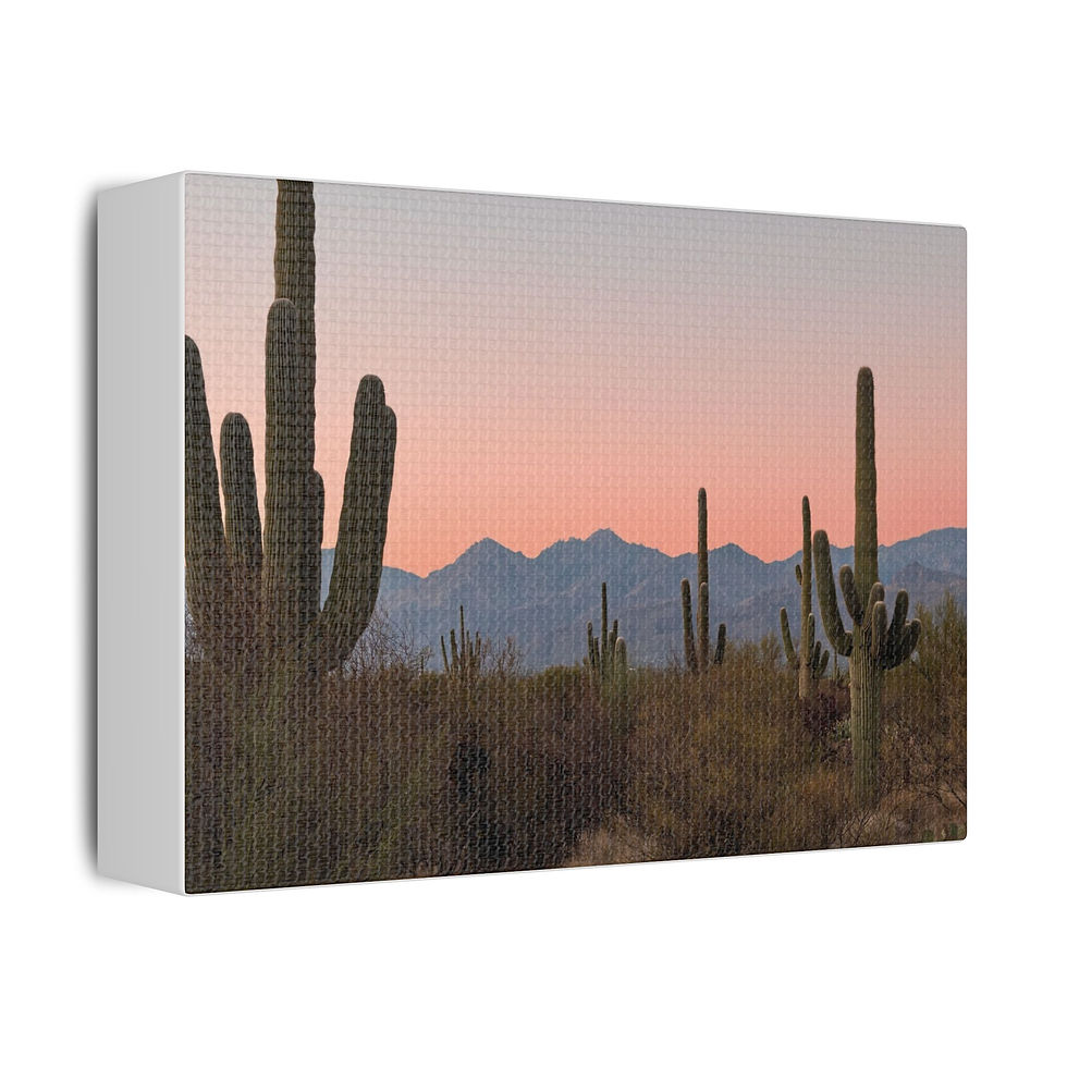 Thumbnail: Satin Canvas, Stretched