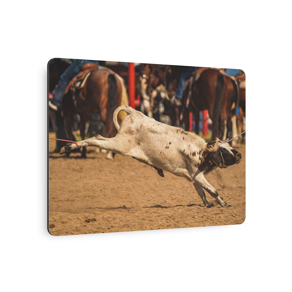 Thumbnail: Metal Art Photo {Team Roping}