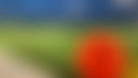 Hockey in the community