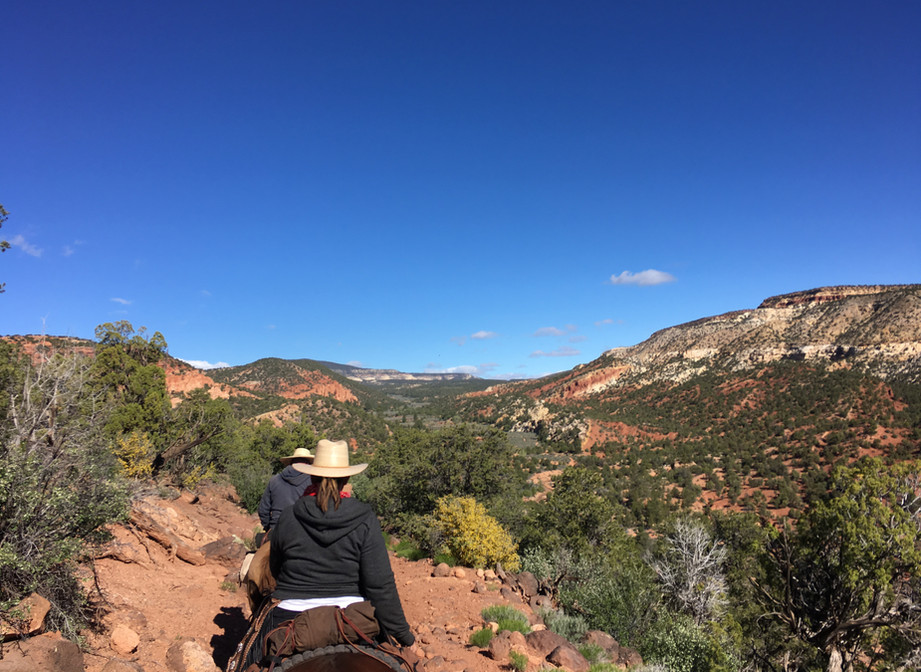 Horseback Riding TK Outfitting Torrey
