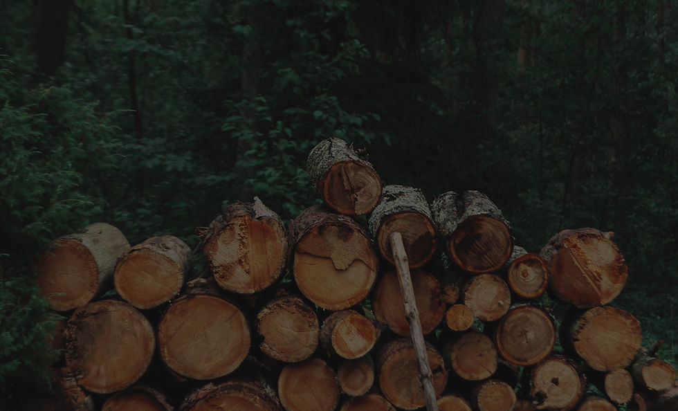 Pile of Logs_edited.jpg