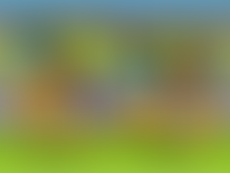 Social Policy and Inequalities!