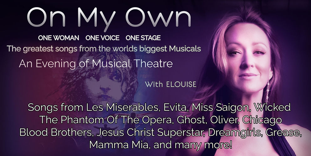 A Night at The Musicals Banner.jpg