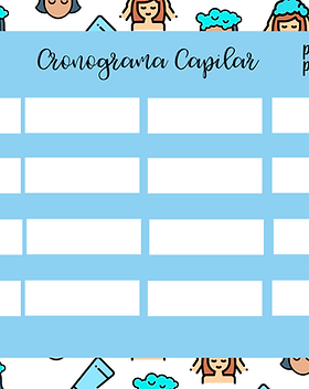 cronogramacapilar.png