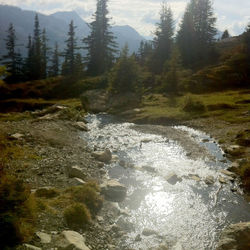 4_region_image-16