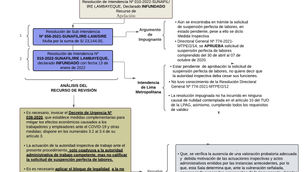 Precedente Vinculante:  Tribunal de Fiscalización Laboral Sala Plena
