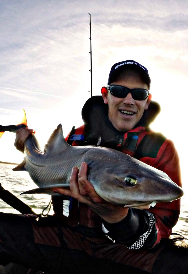 Autumn Smoothound Frenzy