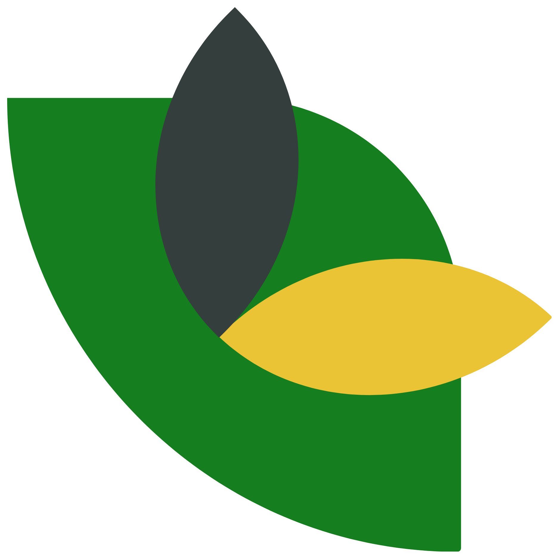 6.png