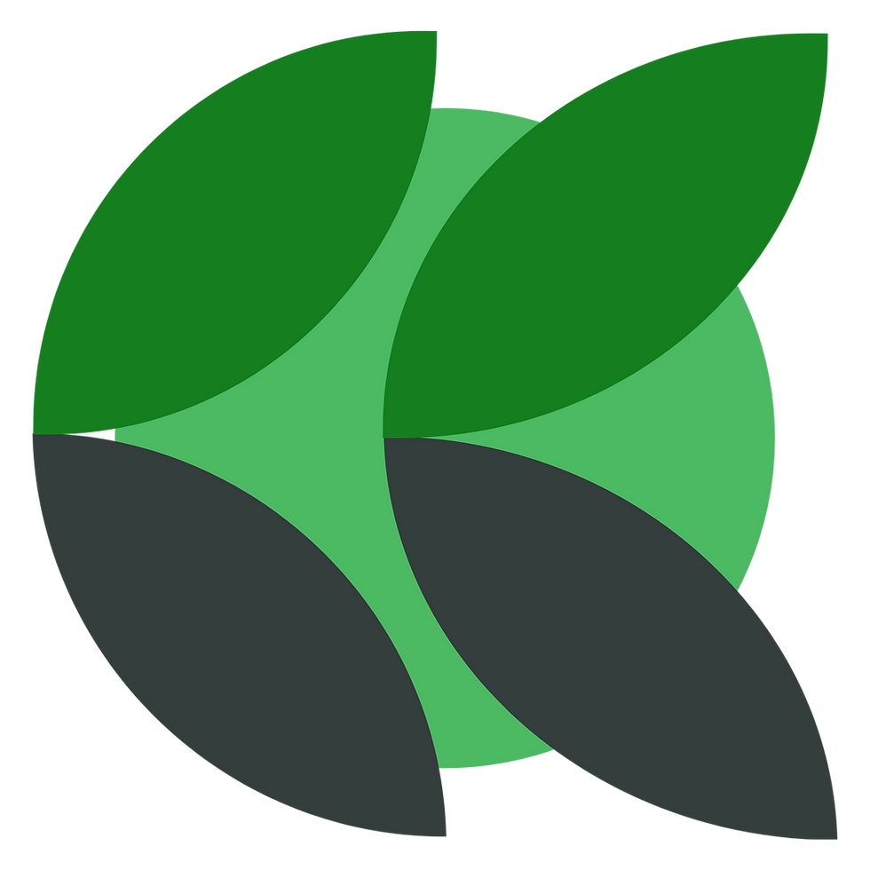 11.png