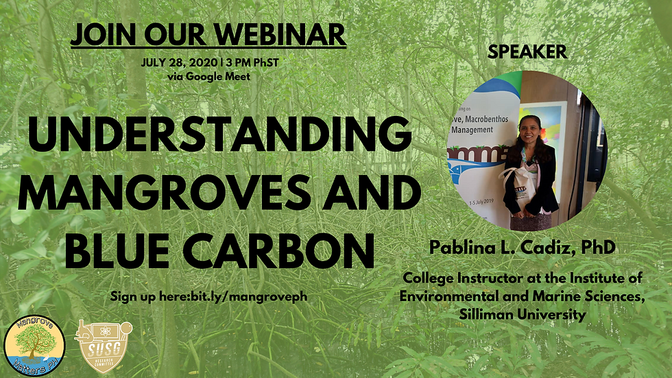 Understanding Mangroves and Blue Carbon