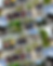 Untitled design (16).png