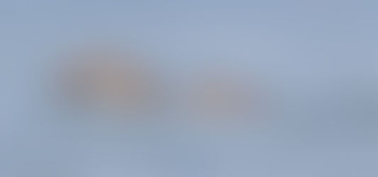 Panay-Guimaras Negros Bridge Suspended: A Victory for the Guimaras Strait and Irrawaddy Dolphins