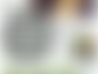 DIÁRIO DE SANTA MARIA - LANÇAMENTO DO COMITÊ PELO MEIO AMBIENTE