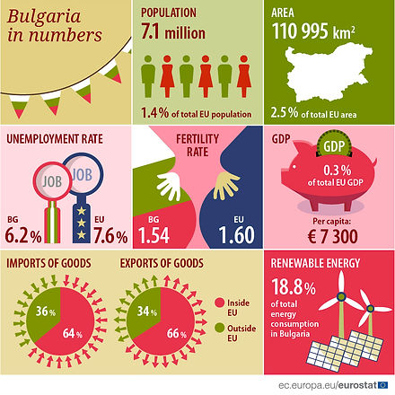 BGinfographic.jpg