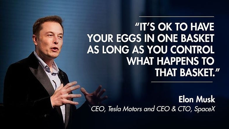 ElonMusk- CEo Tesla-Space X.jpg