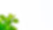 medium-isolated-with-clipping-paths-green-tree-top-leaves-on-white-background.jpg