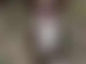 🤎💙Jovan🤎💙