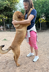 Screenshot 2024-08-04 at 12.24.56.png